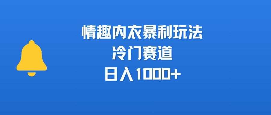 情趣内衣暴利玩法,冷门赛道,日入1000+